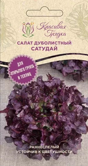 Салат дуболистный Сатудай (Красивая Грядка)