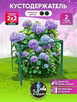 Кустодержатель