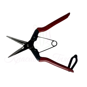 Ножницы для сбора фруктов, овощей, цветов с прямым лезвием