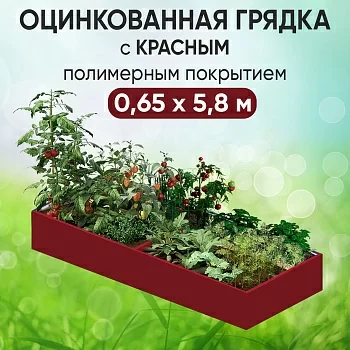 Грядка красная (0,65 х 5,8)