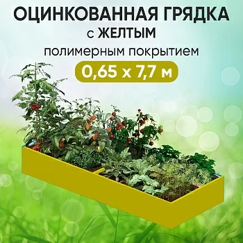 Грядка желтая (0,65 х 7,7)