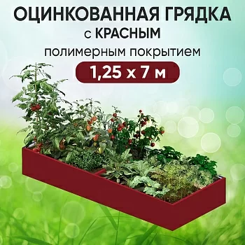 Грядка красная (1,25 х 7)