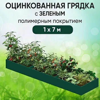 Грядка зеленая (1 х 7)