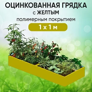 Грядка желтая (1 х 1)