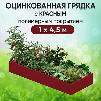 Грядка красная (1 х 4,5)