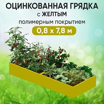 Грядка желтая (0,8 х 7,8)