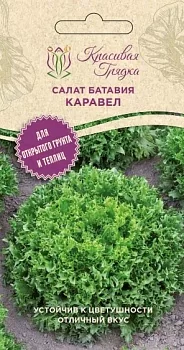 Салат батавия Каравел (Красивая Грядка)