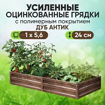 Усиленная грядка Дуб Антик (1 х 5,6)